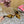 DC Keira Open-Toe Mules Yellow Leopard-Print & Sheepskin 926005