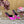 Mules boucle strass DC Soie & Mouton Fuchsia 926020