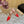 Alaila Mule 100mm In Red Lambskin 957216