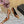 ORANGE GEM-STUDDED HIGH PUMPS IN BRONZE BROWN PATENT CALFSKIN