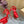 CL 25C Cassia Lace Up Alta 160mm Red Silk 221614
