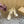 CL 25C Cassia Lace Up Alta 160mm Light Yellow Silk 221615