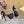 CL 25C Cassia Lace Up Alta 160mm Black Silk 221616