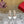 Rockstud Leather Caged Mule Sandals 10mm White Sheepskin 307860