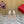 Rockstud Leather Caged Mule Sandals 60mm Pale Pink Sheepskin 307861
