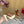 Valentino Tan-Go Clogs 10cm Brown Leather 702270