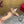 VT Slingback Flat Pink Snake-grain Leather 331936