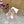 CL 26s Mary Jane Flats In Pink Velvet