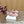 CL 26s Mary Jane Flats In Pink Velvet