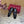GG 26 Slip-on Black Sheepskin 589461