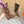 HM Leonie Ankle Boots 7cm Dark Brown Suede 589199