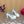 Sandale Valentino Royal 11,5cm en cuir blanc et bleu 702273