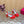 Valentino Royal Sandal 11.5cm Red Blue Leather 702274