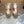 GG 26s Horsebit Platform Sandals 11cm Beige Brown Canvas 886501