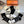 LOW-CUT SOCKS 387194 (1 BOX)