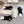 LOW-CUT SOCKS 419075 (1 BOX )