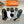 LOW-CUT SOCKS 425647 (1 BOX)