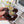 RUSSET BROWN WRINKLED FABRIC SCRUNCHIE 427325