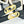 DIAGONAL RECTANGULAR FRAME SUNGLASSES FE40182 IN ACETATE