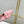 Jimmy Slingback Pumps 45mm In Pastel Pink Cowhide 597828
