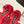 DC 24 Keira Floral-Appliqué Sandals Red Sheepskins & Cowhide 304709