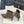 TThe Row 2025 Square Toe Kitten Heel Ankle Boot Dark Brown Sheepskin 572048