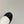 CC 25ss Martin Snow Boots White Black Cowhide & Lambswool 417823