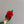 CC 25 Flower Rose Pumps Green Silk 337165