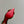 CC 25 Flower Rose Pumps Green Silk 337165