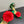 CC 25 Flower Rose Pumps Green Silk 337165