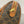 Celine Small Boston Bag Triomphe Black Brown Canvas & Calfskin