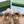 HORSEBIT MULE IN LIGHT PINK CALFSKIN AND LAMB WOOL LINING