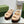 DAD SANDALS IN TAN BEIGE FLEECE