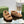 DAD SANDALS IN CIDER BROWN FLEECE