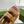 DAD SANDALS IN CIDER BROWN FLEECE