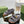 DAD SANDALS IN DARK GRAY FLEECE