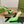 GG SIGNORIA SLINGBACK PUMP SHAMROCK LAMBSKIN