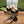 GG HORSEBIT PUMP BLACK LAMBSKIN