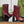 GG Horsebit Ankle Boot 95 Burgundy Calfskin