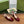 WOMEN'S HORSEBIT SLINGBACK 55MM IN WINE RED CALFSKIN WITH RHINSTONES