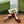 WOMEN'S HORSEBIT SLINGBACK 55MM IN WINE RED CALFSKIN WITH RHINSTONES