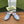 HORSEBIT MULE IN LIGHT BLUE SUEDE