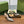 GG HIGH SLINGBACK 10.5 CM IN DOVE GREY GLOSSY CALFSKIN