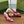 GG HIGH SLINGBACK 10.5 CM IN FUSICA PINK GLOSSY CALFSKIN