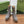 GG SHORT BOOTS 11.5 CM IN BLACK MIX BEIGE MONOGRAM JACQUARD FABRIC