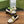 GG LOAFER SHOES IN WHITE CALFSKIN
