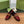 GG Marina Loafer Dark Red Patent Calfskin