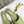 The Row Semi Slippers Olive Sheepskin 827476