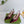 GG 26 Slingback Dark Purple Velvet 592419