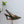 GG 26 Slingback Olive Green Velvet 592420